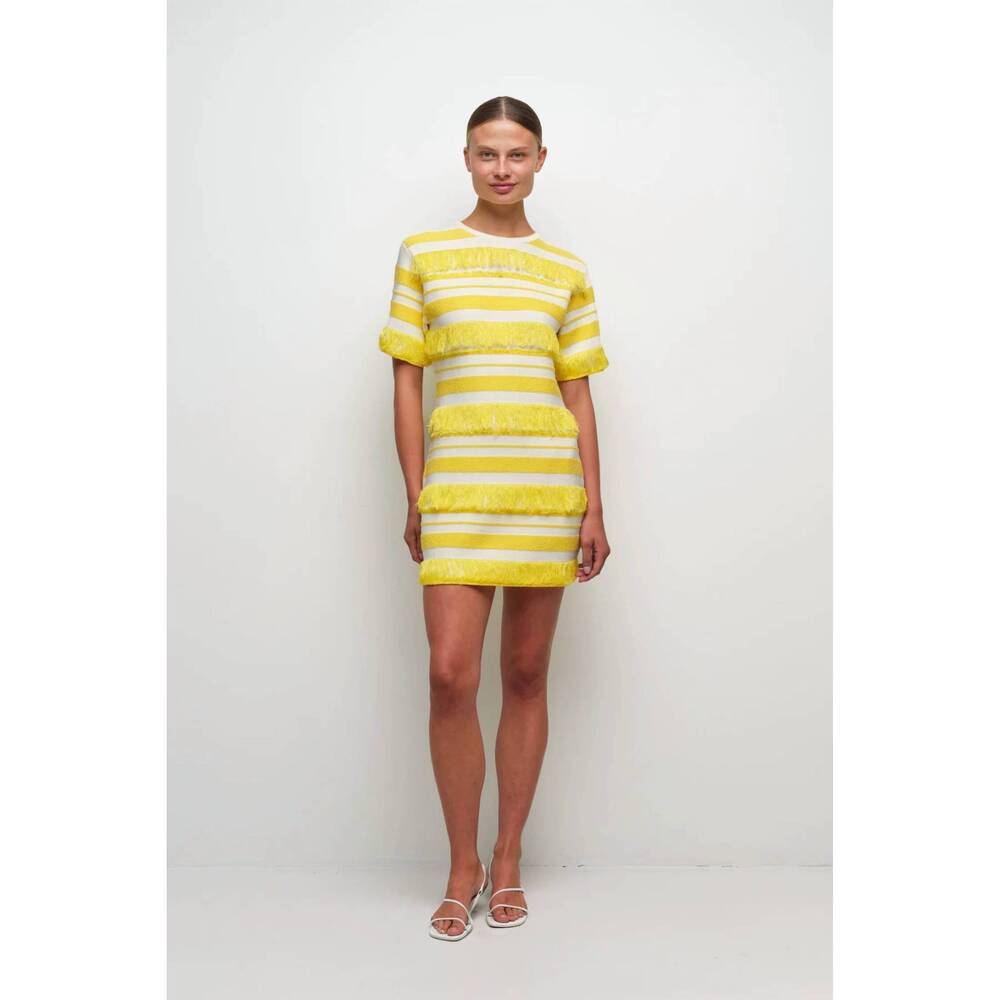 NEW SIMKHAI torrance mini dress in solar stripe